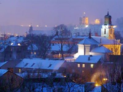 Число жителей Литвы продолжает неуклонно уменьшаться - Литва и страны Балтии