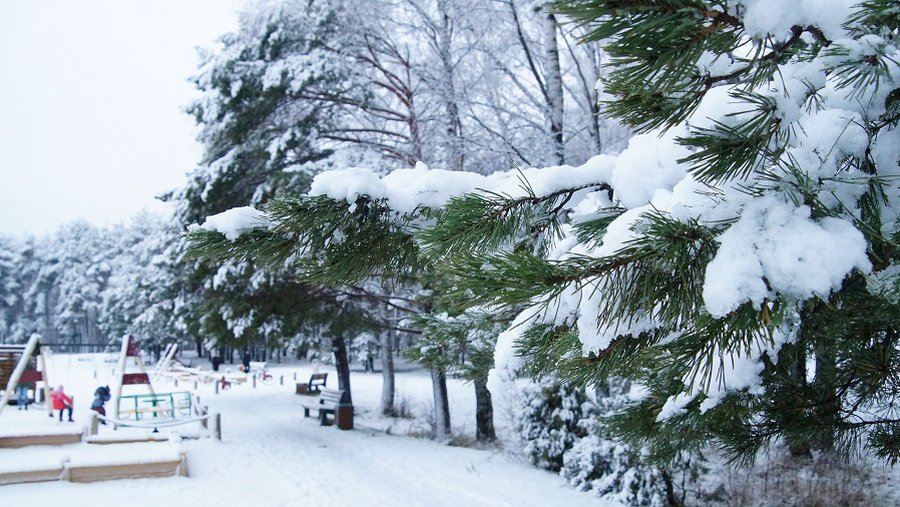 Зима пришла. Прогноз погоды на неделю  в Висагинасе - В Висагинасе