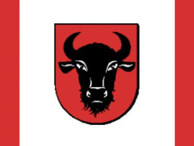 В Висагинасе побывала делегация из польского города-побратима - В Висагинасе