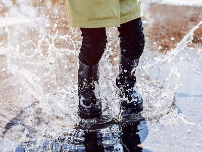 Весна начинается: во многих районах на смену дождю придет солнце - Литва и страны Балтии