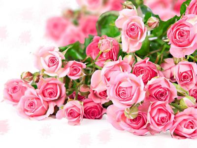 Марину Леонидовну Первушину поздравляем с Юбилеем! - Поздравления