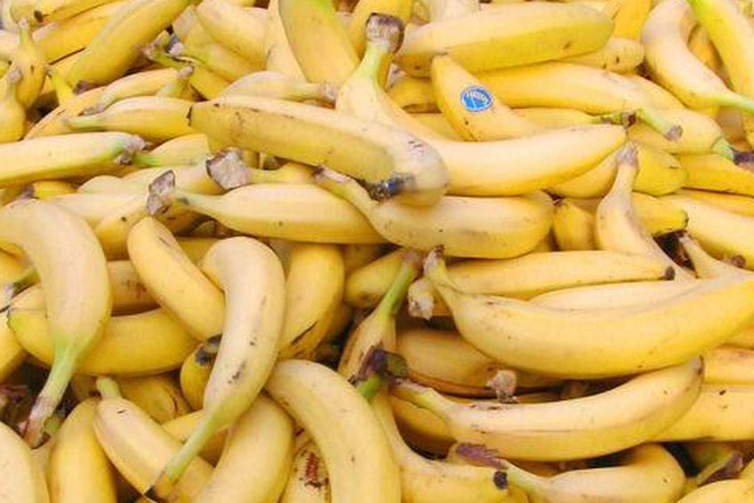 Болельщики «Боруссии» забросали штрафную «Баварии» бананами