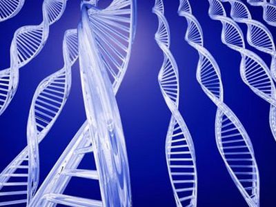 Лекарство от глупости - Наука и здоровье