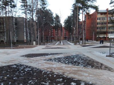 Ждем настоящую весну и начала работ в городе - В Висагинасе