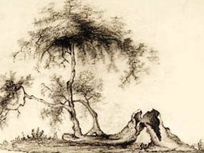 Британское королевское общество обнародовало оригинал истории про Ньютона и яблоко - Культурные и спортивные мероприятия