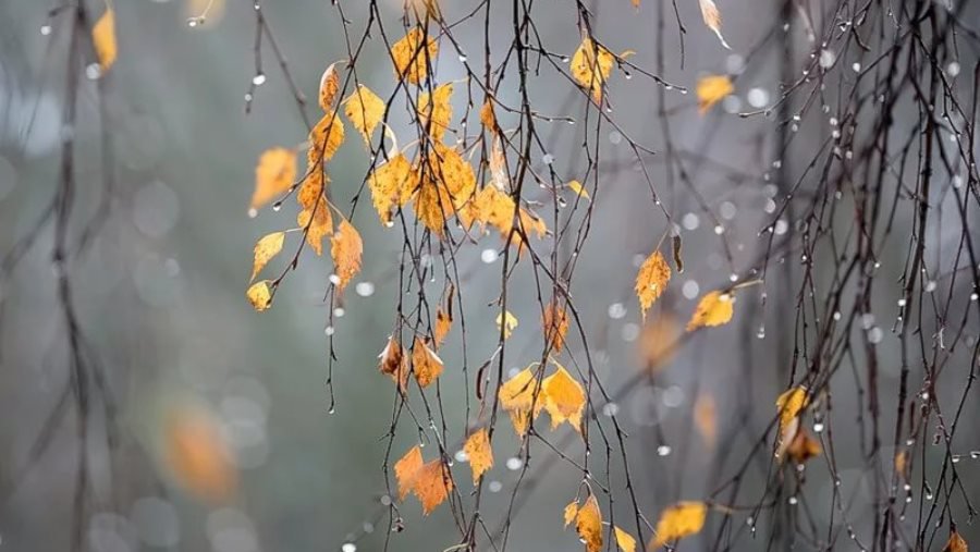 Год, который войдет в историю: этот ноябрь запомним надолго - Литва и страны Балтии