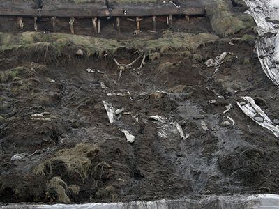 Парламентарии призывают организовать срочные слушания по поводу состояния горы Гедиминаса - Литва и страны Балтии