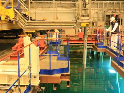 ИАЭС: при извлечении топливной сборки было обнаружено, что ее активная часть лежит на дне бассейна выдержки - В Висагинасе