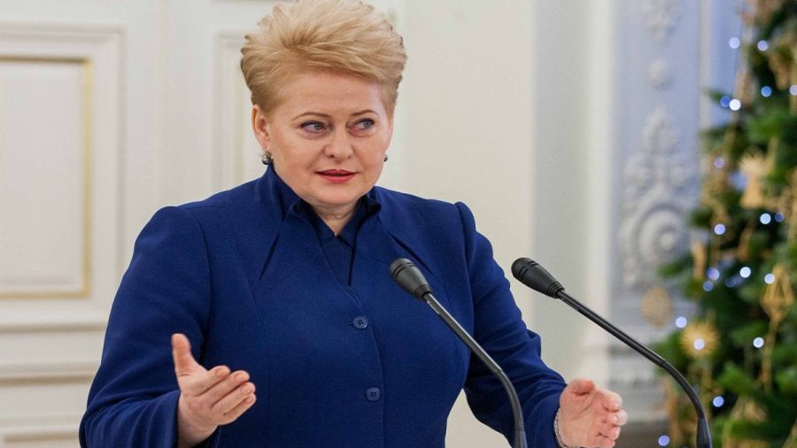 Грибаускайте: уходящий год был очень успешным для Литвы - Литва и страны Балтии