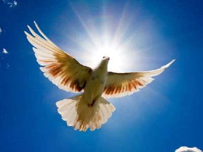 7 апреля православные христиане отмечают Благовещение и Великую субботу - В Висагинасе