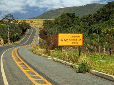 В Европе введут единые правила дорожного движения                                 - Хобби, отдых и развлечения