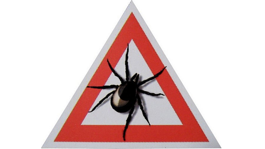 Признаки клещевого энцефалита - Наука и здоровье