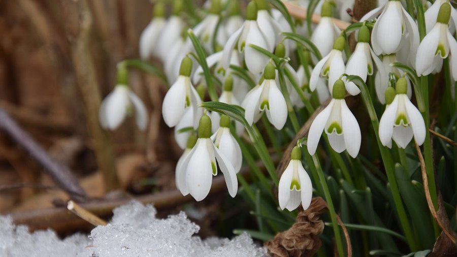 Погода: после нескольких теплых дней придет циклон из Скандинавии - Литва и страны Балтии