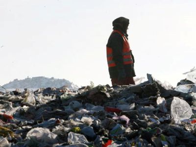 Шокирующие цифры: горы еды из магазинов оказываются на помойке - В Мире