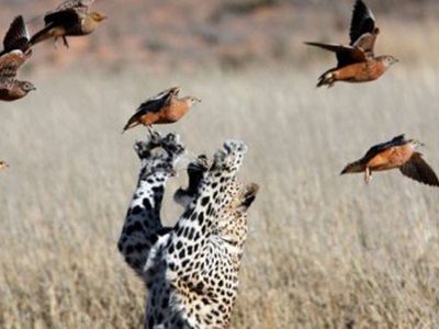 Прогулки на природе заряжают творческой энергией - Хобби, отдых и развлечения