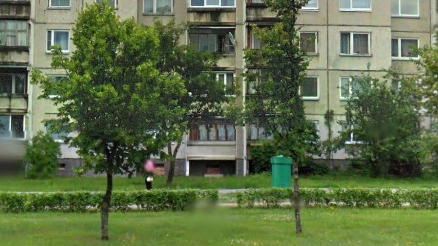 Чтобы оборудовать автостоянку, придется вырубить 11 лип - В Висагинасе