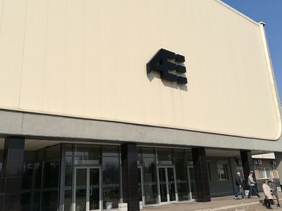 ИАЭС начала выборочно измерять температуру у сотрудников - В Висагинасе