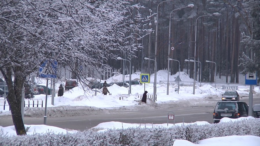 Нужен ли Висагинасу отдел общественного порядка? - В Висагинасе