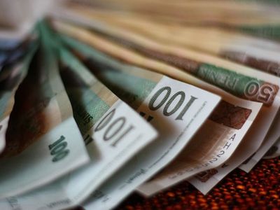 Грибаускайте: вопрос повышения минимальной зарплаты остается актуальным                                 - Литва и страны Балтии