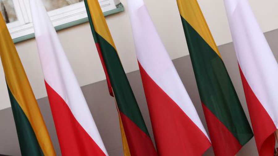 Председатель Сената Польши: Польше, как и Литве, очень важен вопрос единого энергетического рынка в Европе - Литва и страны Балтии