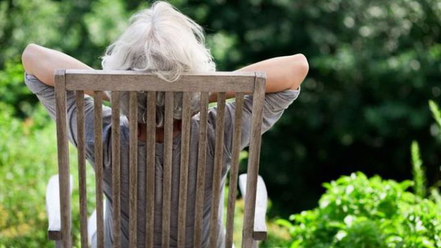 Могут ли литовцы надеяться на пенсии датчан? - Литва и страны Балтии