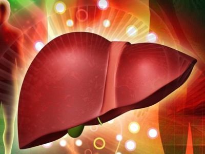 8 советов, как укрепить печень - Наука и здоровье