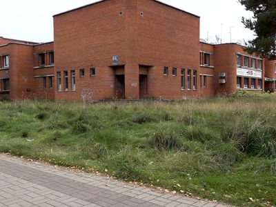 Трава у зданий в центре города: почему не косят и кто должен это делать? (видео) - В Висагинасе