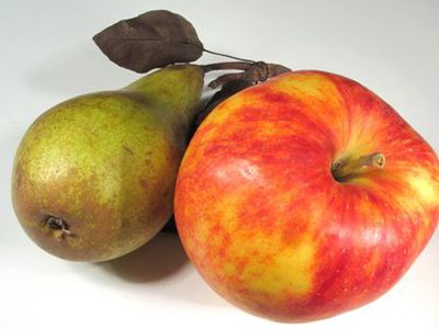 Овощи и фрукты надо употреблять с кожурой? - Наука и здоровье