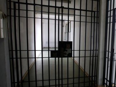 В планах министра юстиции - "виртуальная тюрьма" - Литва и страны Балтии