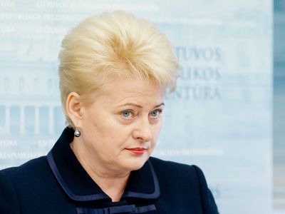 Через энергетику на политику Литвы до сих пор оказывается давление - Энергетика