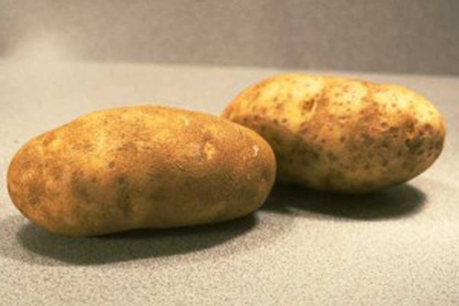 Ученые расшифровали геном картофеля
                 - Наука и здоровье