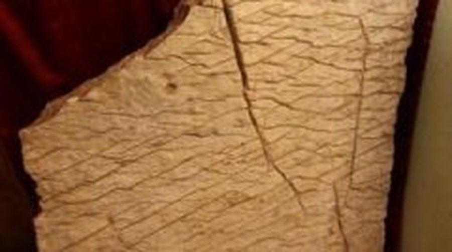 Невероятное открытие: найдена карта Земли, которой 65 млн лет! - Наука и здоровье