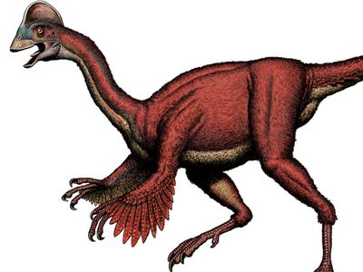 «Цыпленок из ада»: найден новый вид динозавров - Наука и здоровье