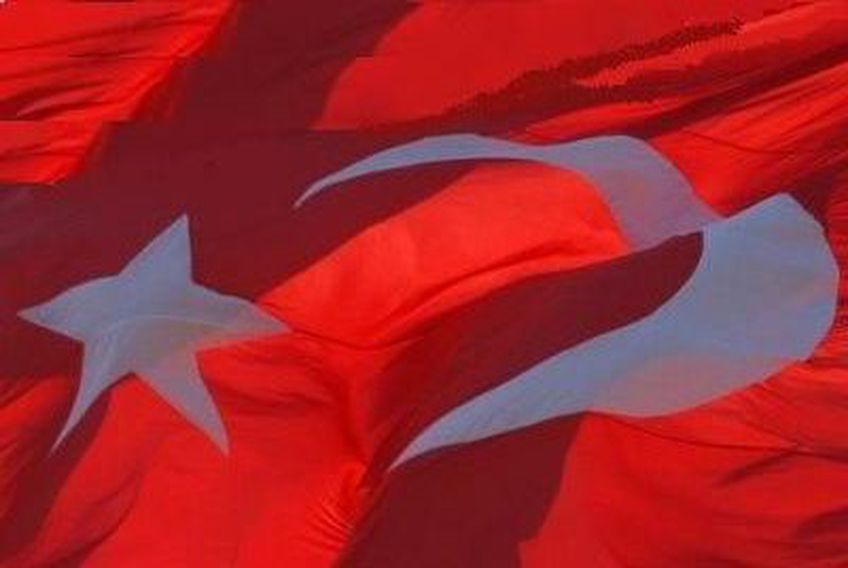 Политолог: Турция сохранит государство, если уйдет из НАТО и откажется от ЕС
