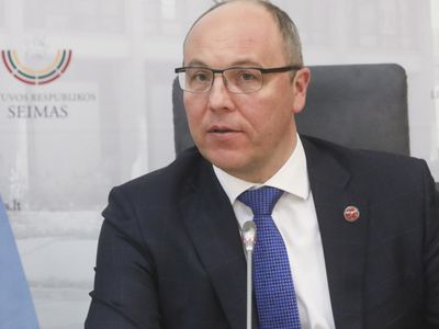 Председатель Верховной Рады Украины в Литве: позиция В.Зеленского в отношении России меня удивила - Литва и страны Балтии