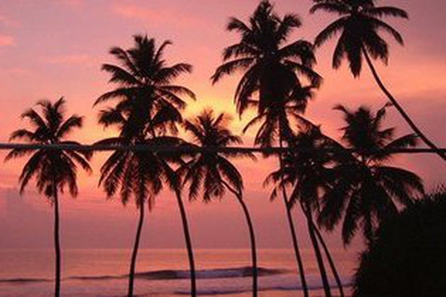 Житель Шри-Ланки похоронил себя заживо в надежде на мировой рекорд

                                 - Хобби, отдых и развлечения