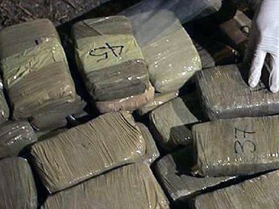 Полиция задержала рекордное количество наркотических веществ - 1,5 тонны гашиша - Происшествия и криминал