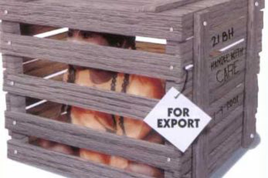 Задержаны подозреваемые в торговле людьми и вывозе девушек за границу - Происшествия и криминал