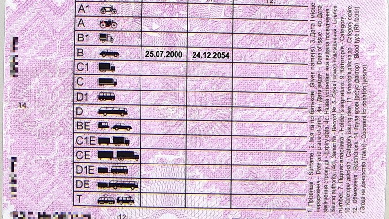 Иностранка с поддельным водительским удостоверением работала водителем сервиса перевозок в Литве - Происшествия и криминал