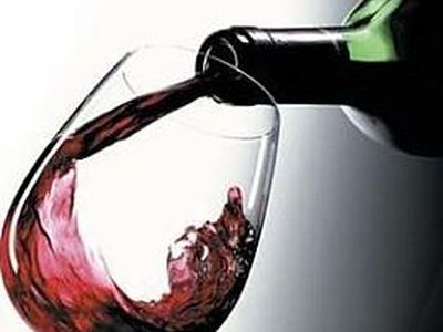 Во Франции ученые используют ускоритель частиц для определения подлинности вина - Наука и здоровье