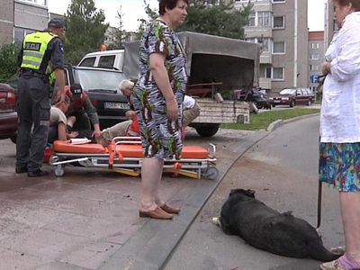 В Висагинасе произошло дорожно-транспортное происшествие. Есть раненые - В Висагинасе