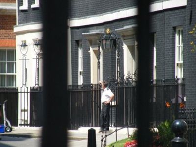 Крыса из резиденции премьера повергла Великобританию в шок - В Мире