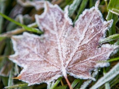 Прогноз: после заморозков порадует осеннее тепло - Литва и страны Балтии
