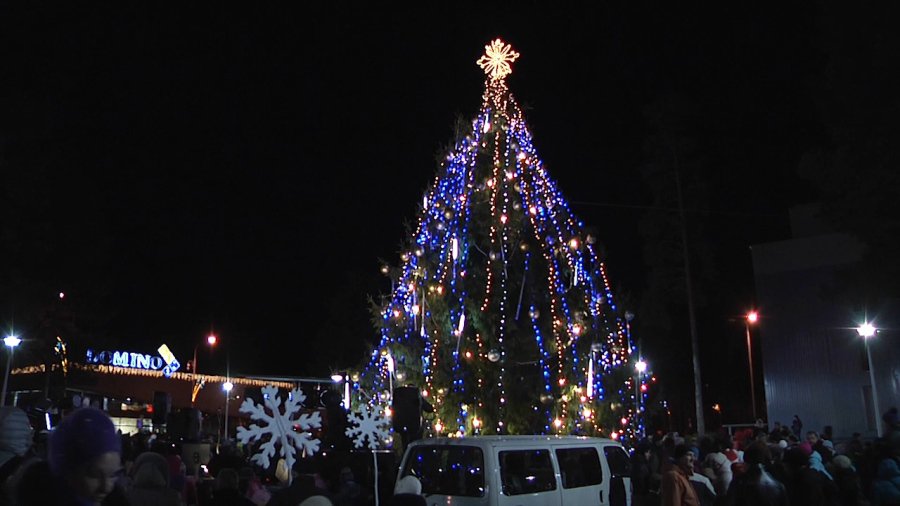 Раз, два, три, елочка гори!