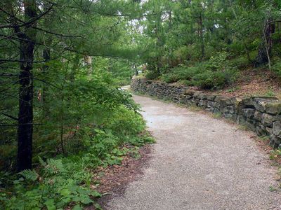 NMA kviečia teikti paraiškas miškų keliams įrengti - Verslas ir ekonomika