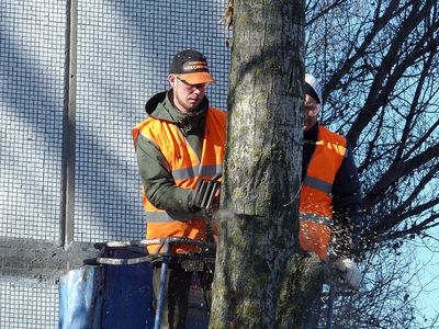 Визиты мэра. Э. Галагуз предложил не спешить с очередными инвестициями в Утянскую свалку (видео) - В Висагинасе
