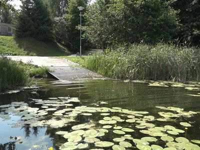 Зачем нужен второй спуск на воду на берегу озера Друкшяй с/о «Вишня»? (видео) - В Висагинасе