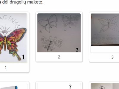 Приглашение на обсуждение проекта «Найди бабочку в Висагинасе» - В Висагинасе