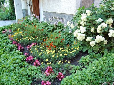 Darykime mūsų miestą gražų - Visagine