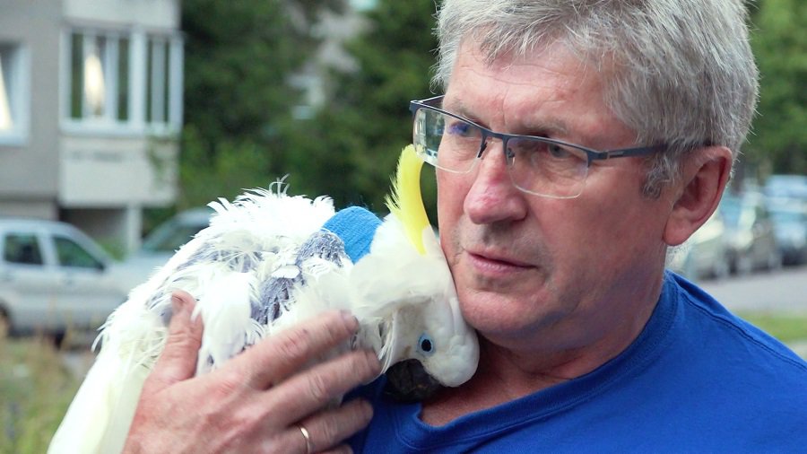 Из первых уст: Альвидас Витас рассказал историю изъятия животных из «Аквариума» и их возвращения (видео) - В Висагинасе